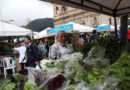 Verduras, frutas, leche y más en Mercados Campesinos 31 agosto y 1 septiembre